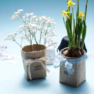 Spring awakening with our DIY flower pots for your plants Spring awakening with our DIY flower pots for your plants