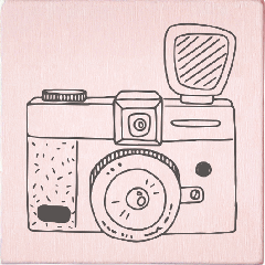 May & Berry Stamp - Camera