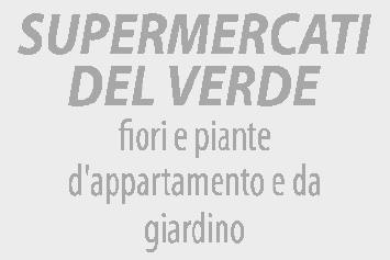 Esempio di impronta