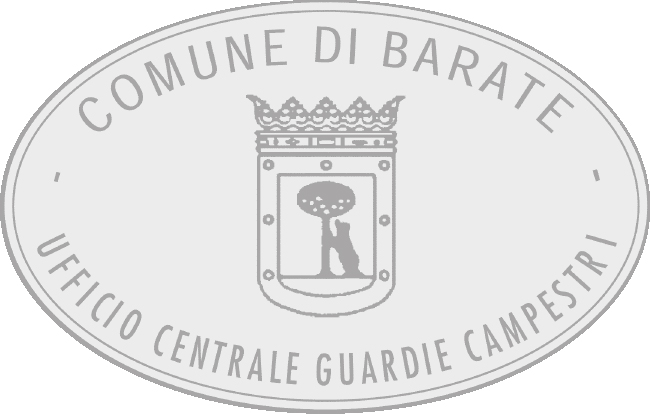 Esempio di impronta