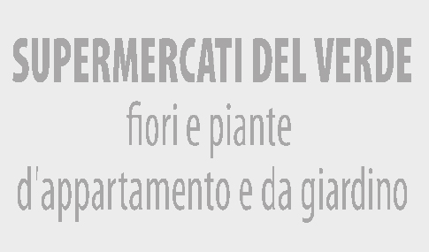 Esempio di impronta