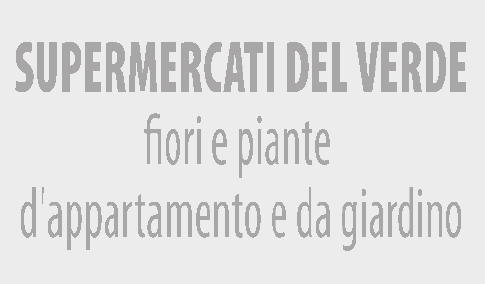 Esempio di impronta