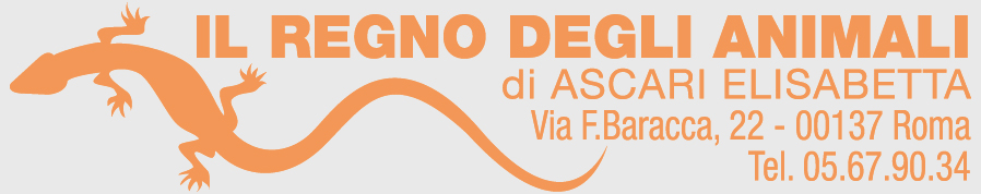 Esempio di impronta