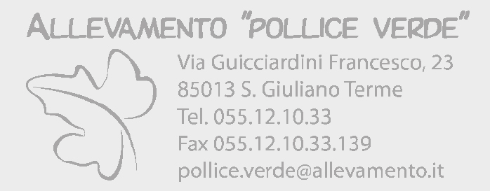Esempio di impronta