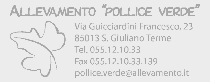 Esempio di impronta
